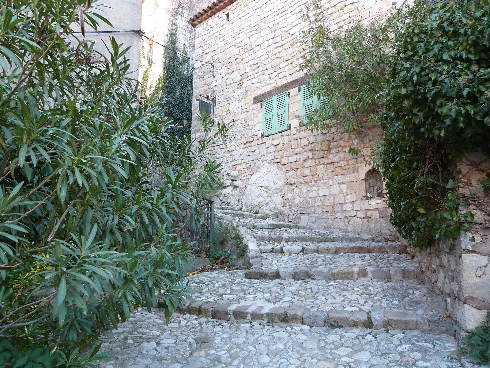 Une calade en galets monte entre des maisons en pierre aux volets verts, bordée de lauriers-roses, dans le vieux village de Seillans