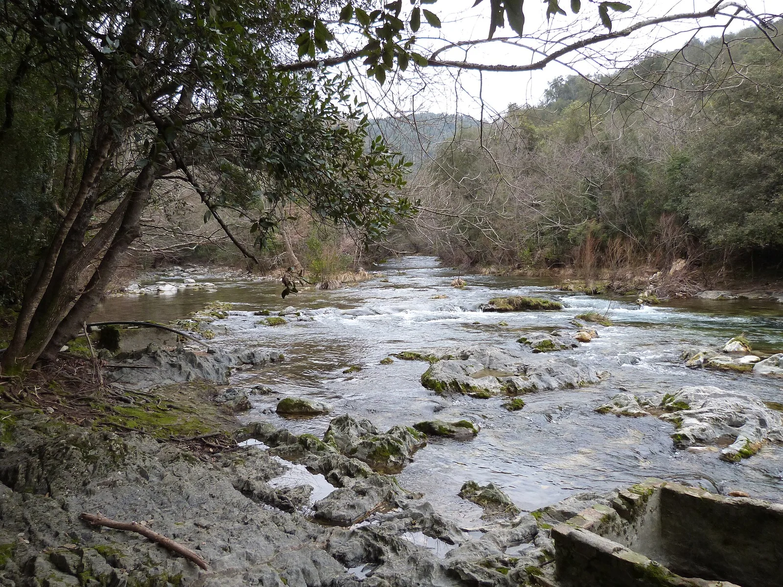 La Siagne coule entre des rochers clairs au milieu des collines boisées de Tanneron